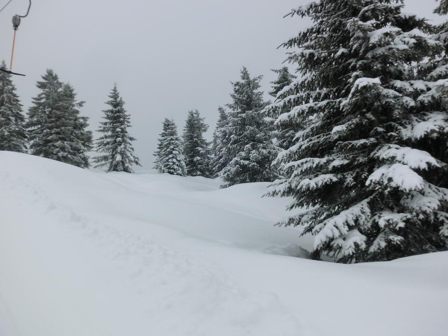 07- Dachstein, Bauernhaus, Abreise 006